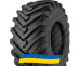 Замовити резину 30.5R32 Starmaxx TR-330 170A6 Сільгосп шина