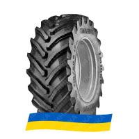VF 650/60R38 Trelleborg TM1060 166D VF TL Сільгосп шина