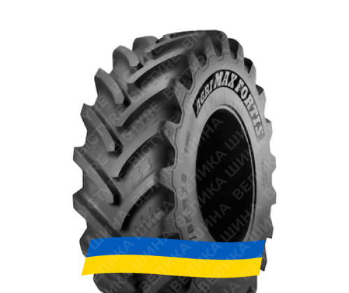 Замовити резину 600/70R30 BKT AGRIMAX FORTIS 161/158A8/D Сільгосп шина